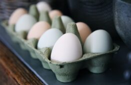 LNK žinios I DI centro mokslininkai pasakoja apie jodu ir selenu praturtintus kiaušinius