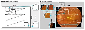 Diagnostinė sistema