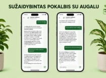 Programėlės turinys