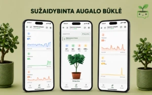 Programėlės turinys