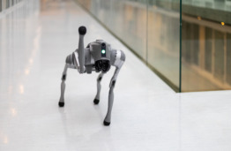 KTU tyrėjų komandoje &ndash; &scaron;uo-robotas: padės tirti, kaip dirbtinis intelektas sąveikauja su realia aplinka