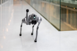 Keturkojis robotas „Unitree Go2“